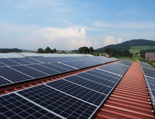 Wie Unternehmen durch eine PV-Anlage auf dem Firmendach doppelt profitieren